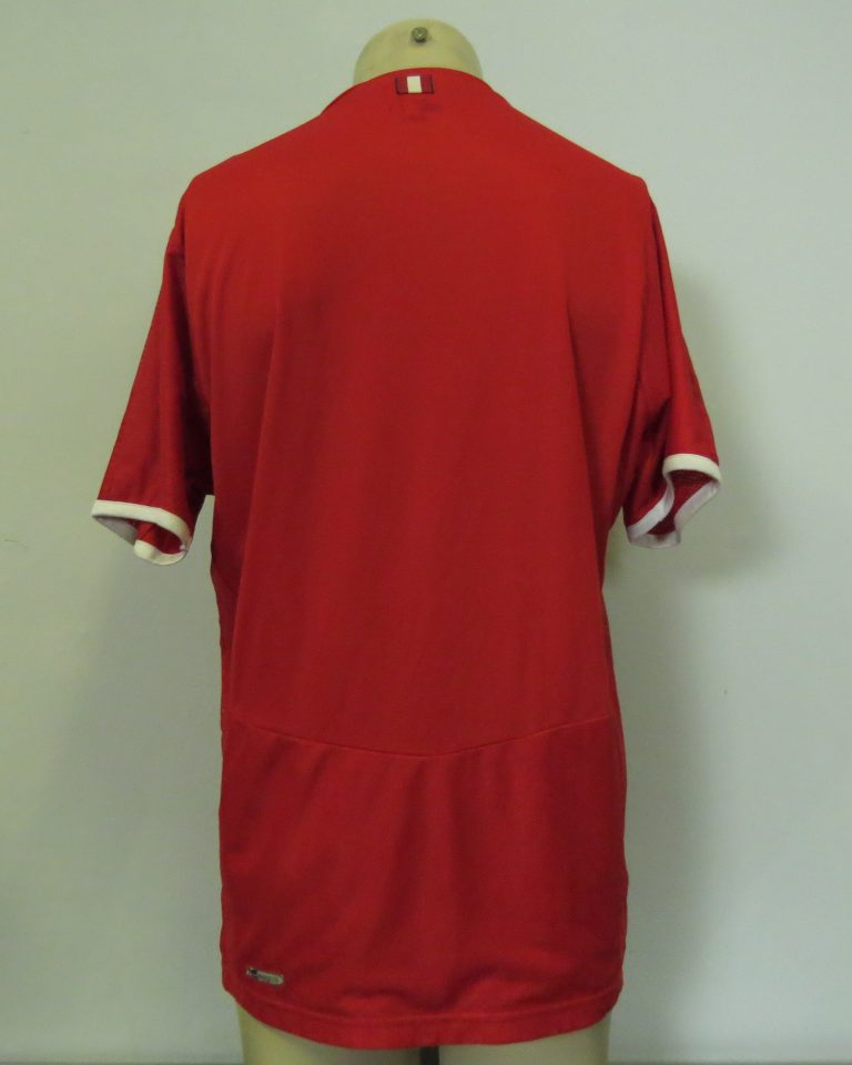 Vintage Austria 2008-09 home shirt Puma soccer jersey size L EURO2008 (7)