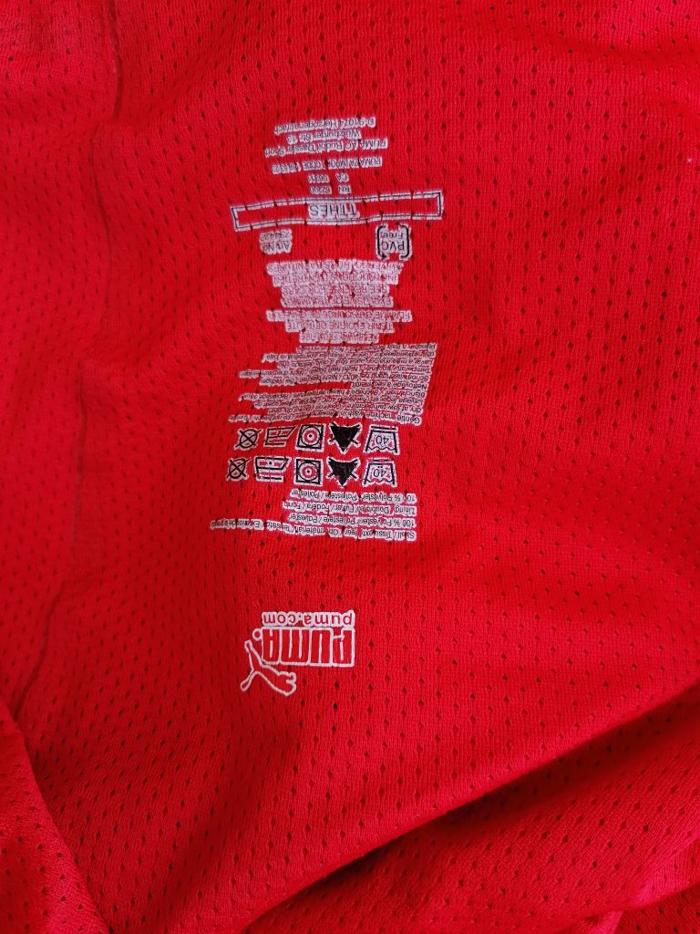 Match worn issue Switzerland 2008-10 WC2010 qualifiers home shirt Barnetta 7 size XL (5)